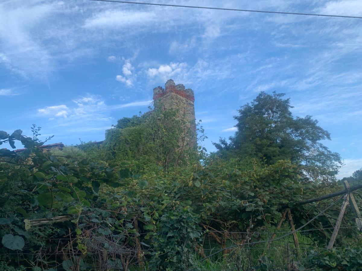 Bouganville ヴィヴェローネ エクステリア 写真